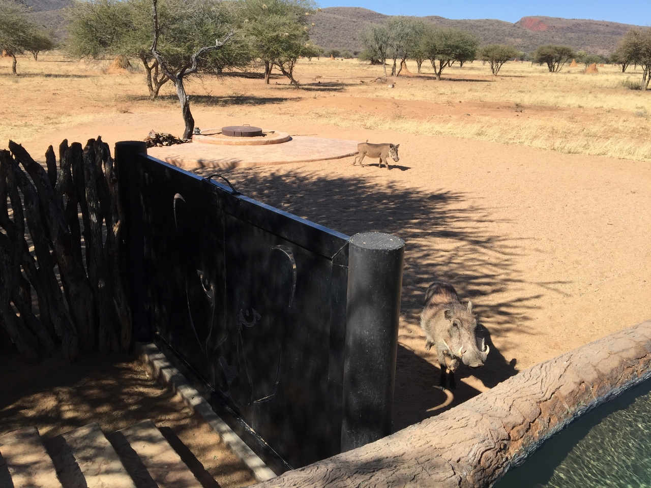 [2556] 2016_06_22_10_54_00_Africa_iPhone_6_Plus_IMG_3420_00110.jpg