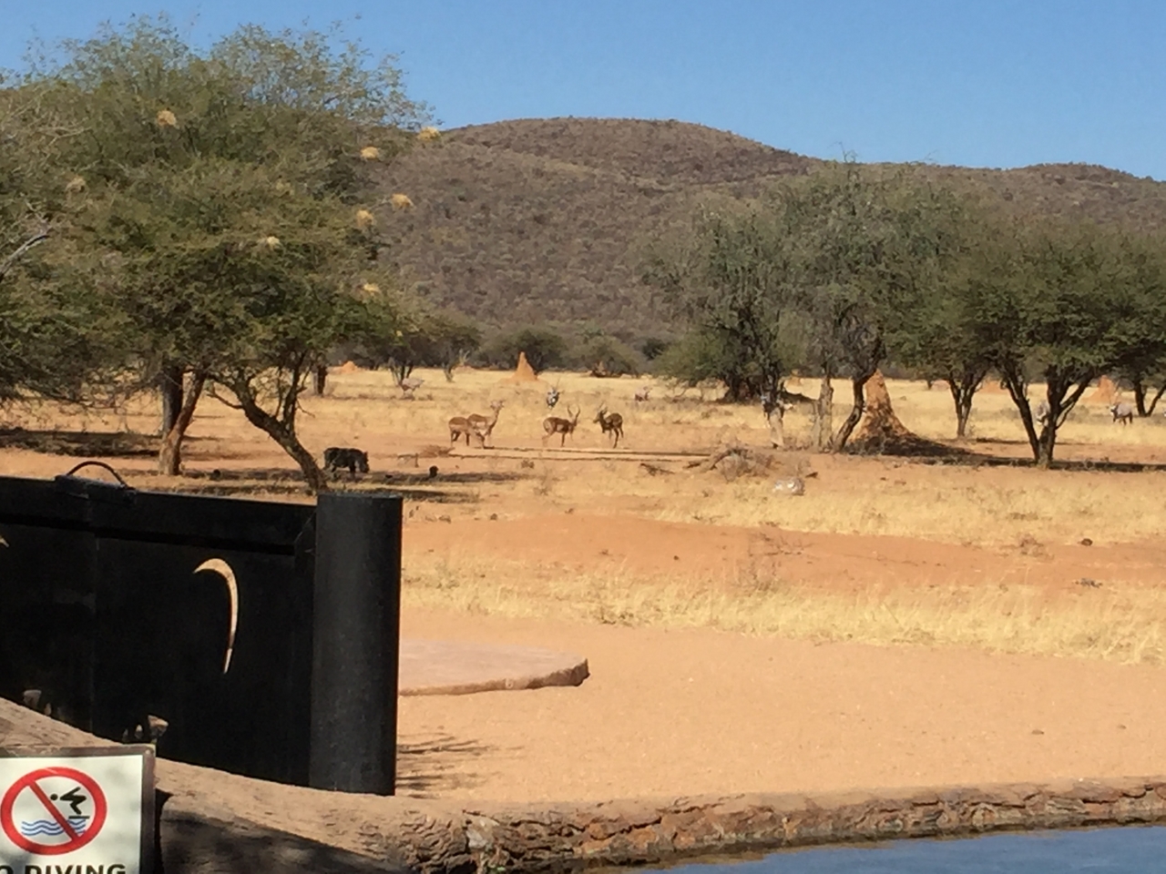 [3476] 2016_06_22_12_10_22_Africa_iPhone_6_Plus_IMG_3435_06709.jpg