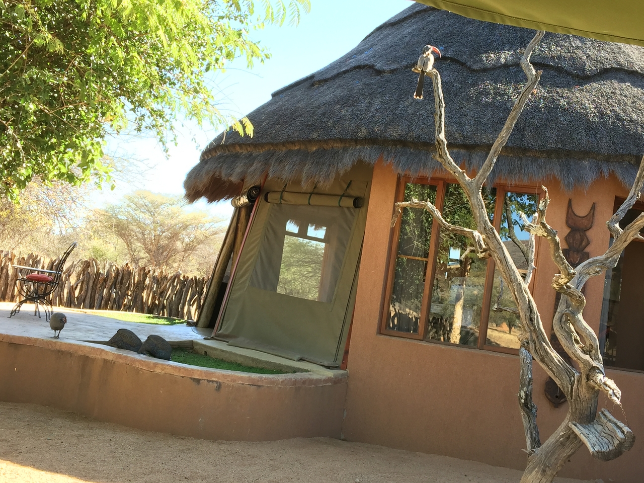 [3532] 2016_06_22_13_43_38_Africa_iPhone_6_Plus_IMG_3454_00141.jpg