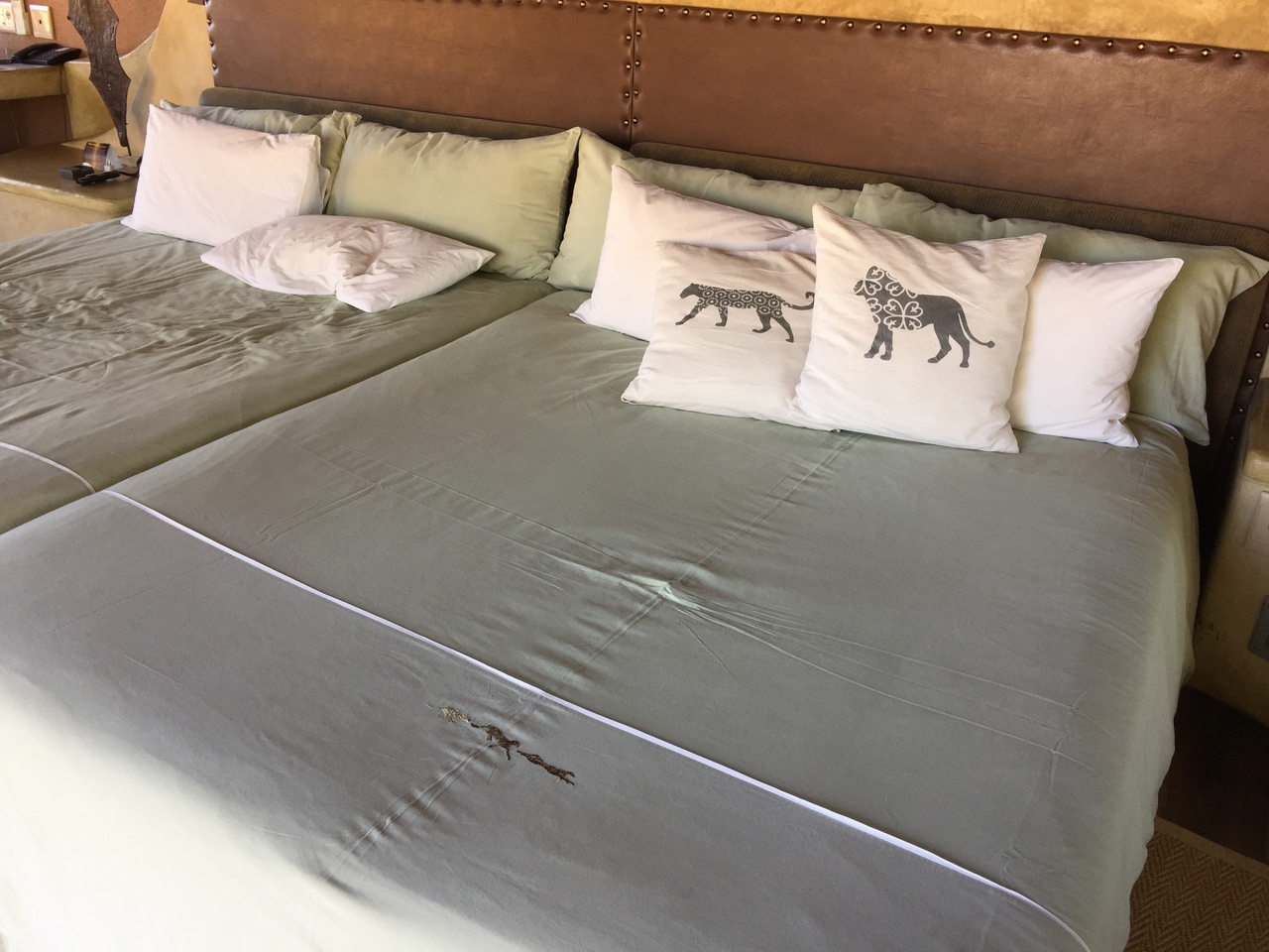 [3537] 2016_06_22_13_51_01_Africa_iPhone_6_Plus_IMG_3458_06727.jpg