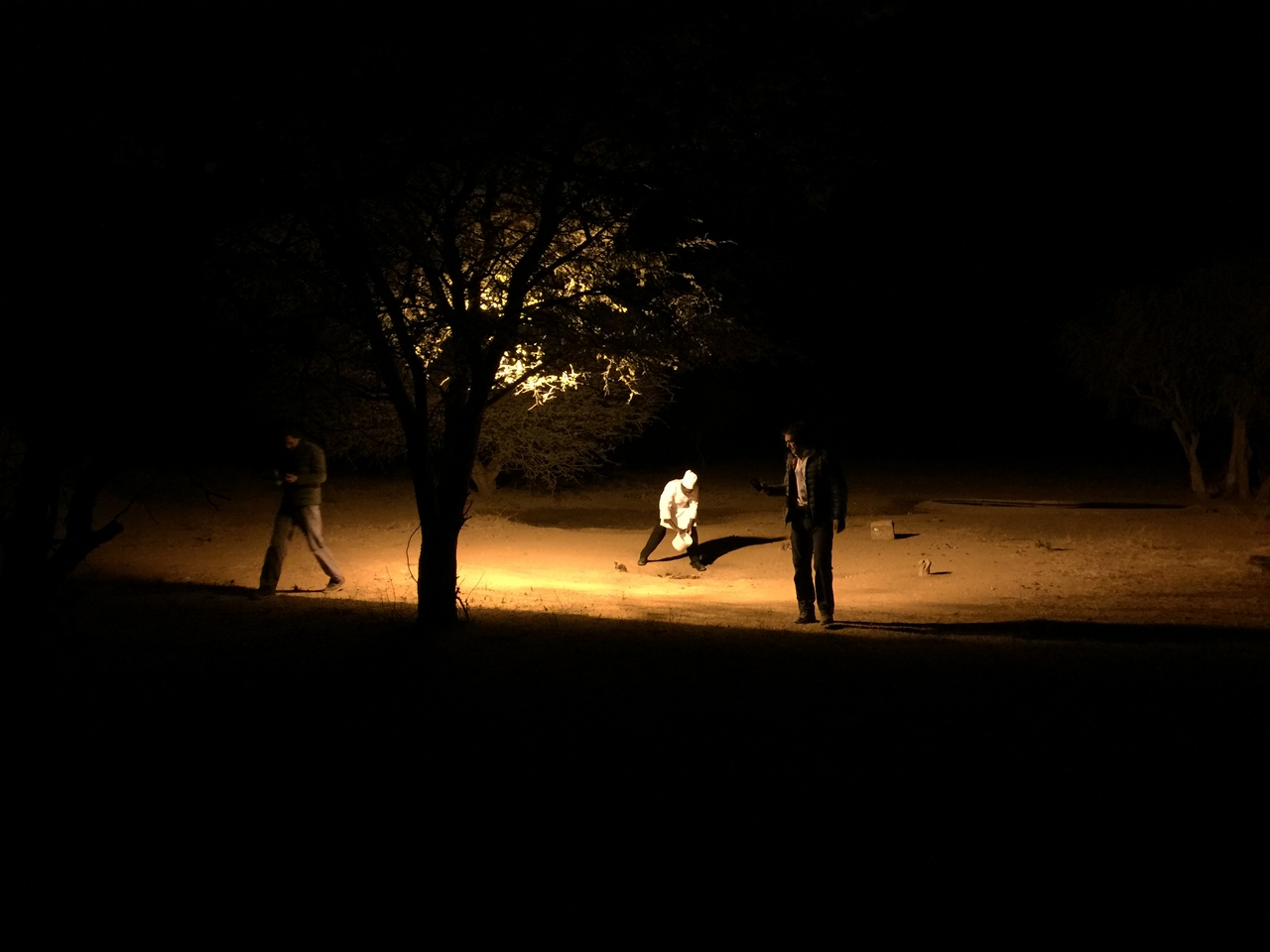 [3796] 2016_06_22_20_44_26_Africa_iPhone_6_Plus_IMG_3509_00173.jpg