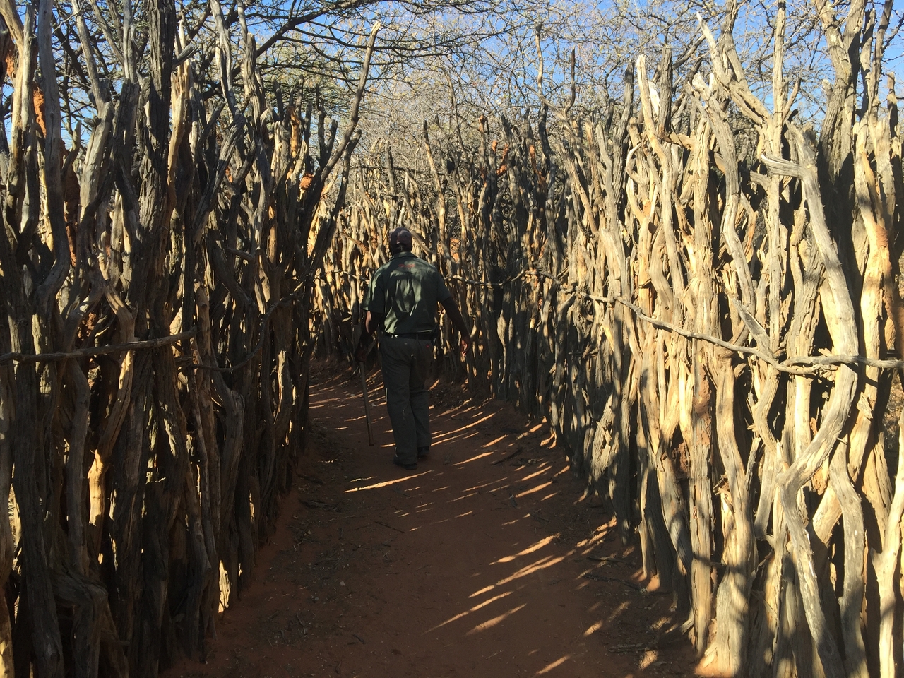 [9058] 2016_06_23_15_11_43_Africa_iPhone_6_Plus_IMG_3522_00181.jpg