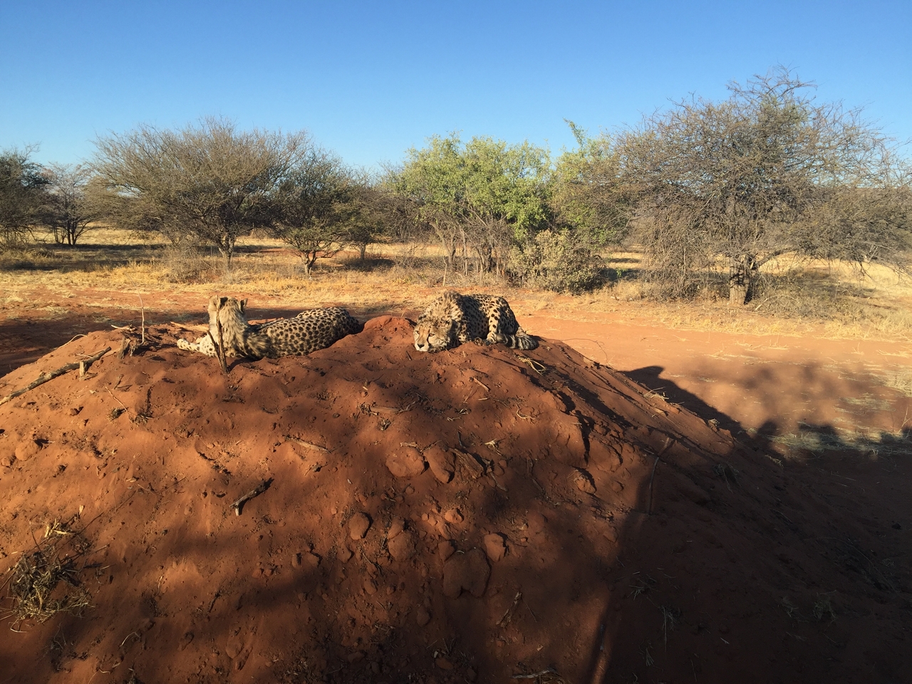 [9358] 2016_06_23_16_14_39_Africa_iPhone_6_Plus_IMG_3539_00184.jpg