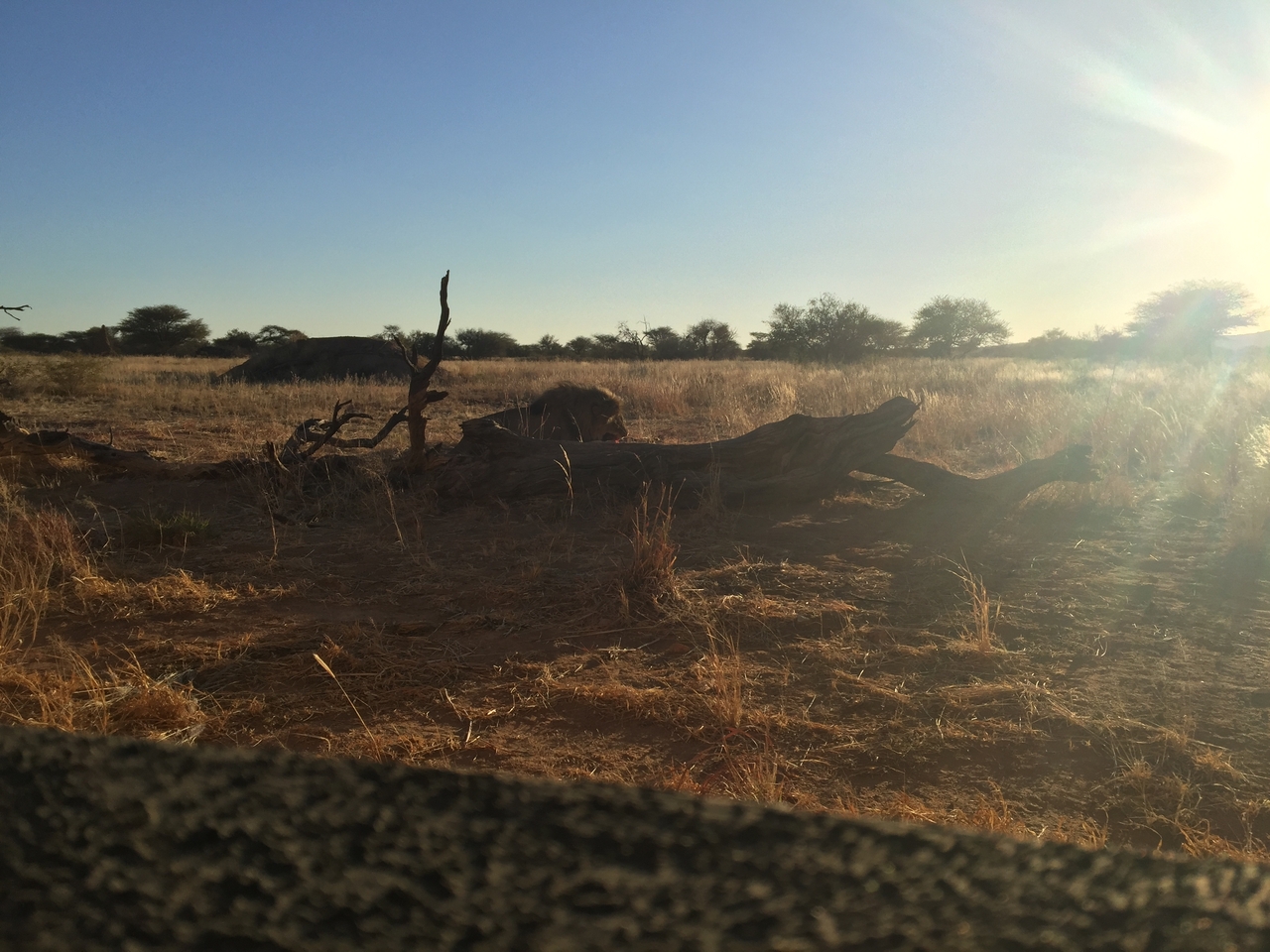 [9405] 2016_06_23_16_40_34_Africa_iPhone_6_Plus_IMG_3543_00188.jpg