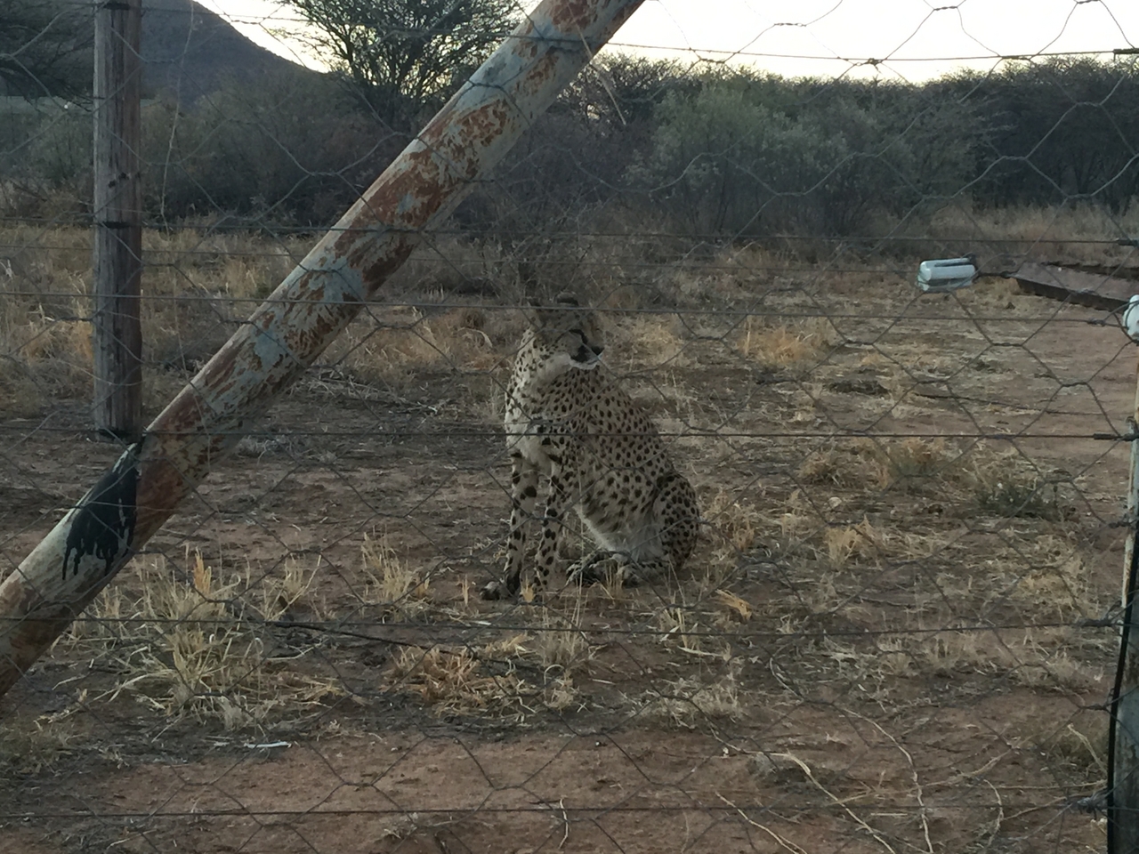[9502] 2016_06_23_17_24_55_Africa_iPhone_6_Plus_IMG_3545_06774.jpg
