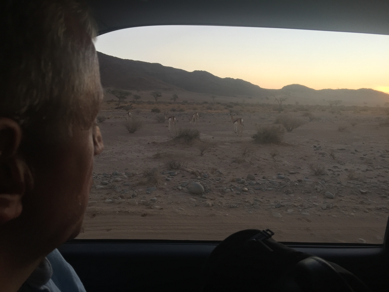 [14314] 2016_06_24_17_20_54_Africa_iPhone_6_Plus_IMG_3639_00256.jpg