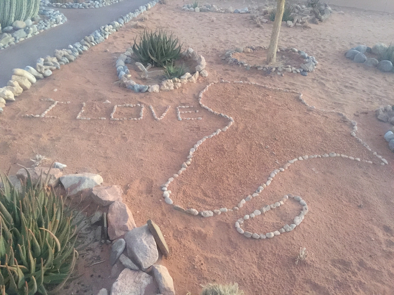 [14337] 2016_06_24_17_33_43_Africa_iPhone_6_Plus_IMG_3646_00263.jpg