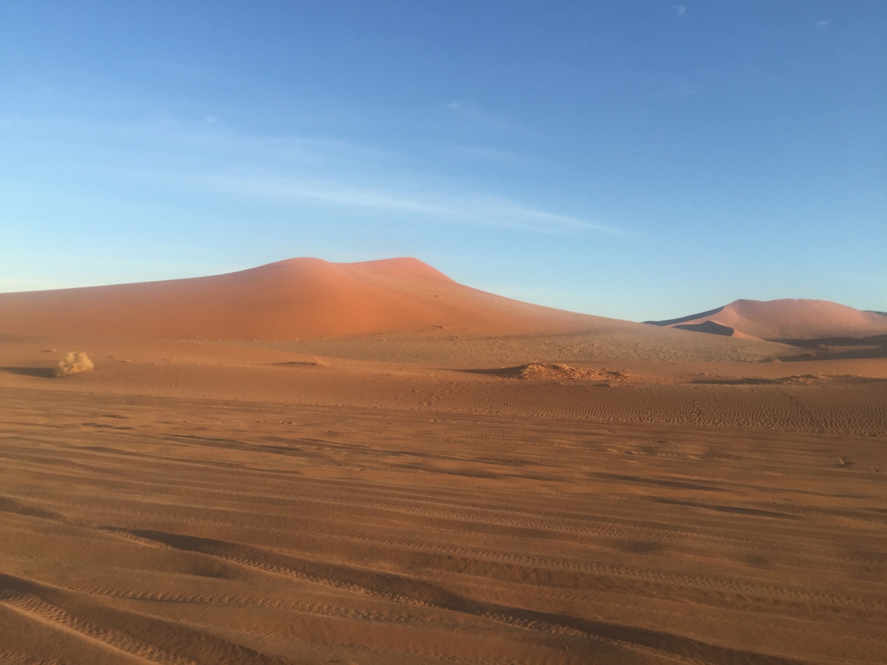 [15466] 2016_06_25_07_15_29_Africa_iPhone_6_Plus_IMG_3669_00281.jpg