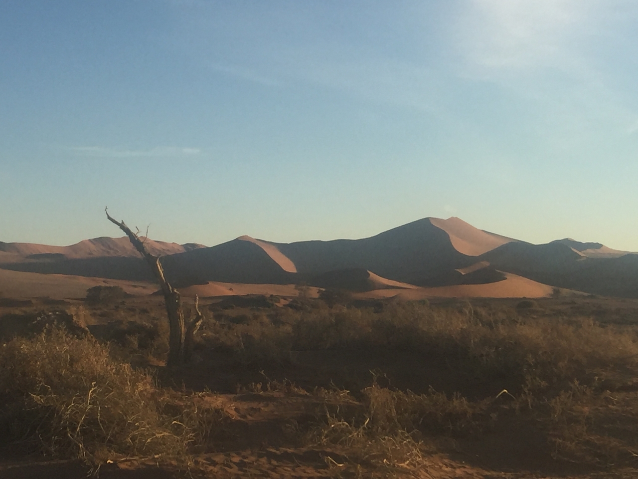 [15474] 2016_06_25_07_20_18_Africa_iPhone_6_Plus_IMG_3672_00283.jpg