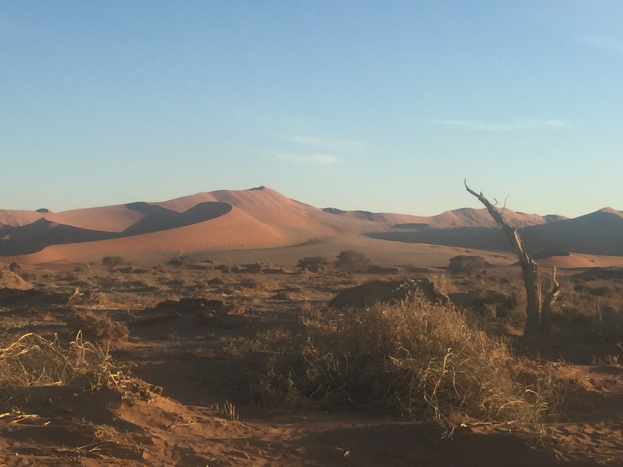 [15477] 2016_06_25_07_20_23_Africa_iPhone_6_Plus_IMG_3673_06868.jpg