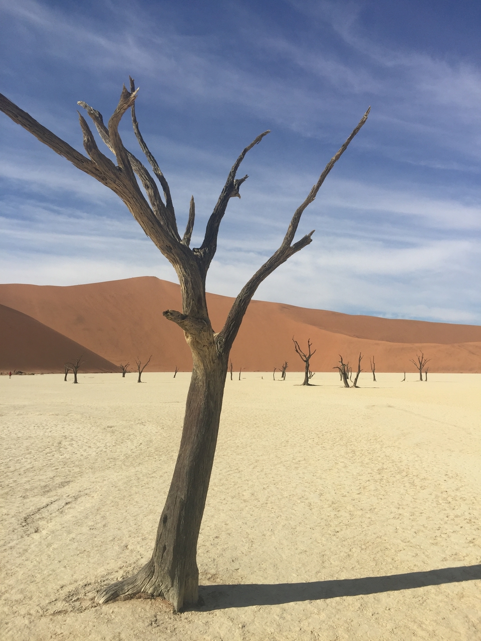 [16031] 2016_06_25_09_53_59_Africa_iPhone_6_Plus_IMG_3680_06875.jpg