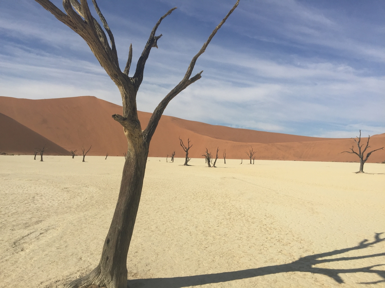 [16036] 2016_06_25_09_54_04_Africa_iPhone_6_Plus_IMG_3681_06876.jpg