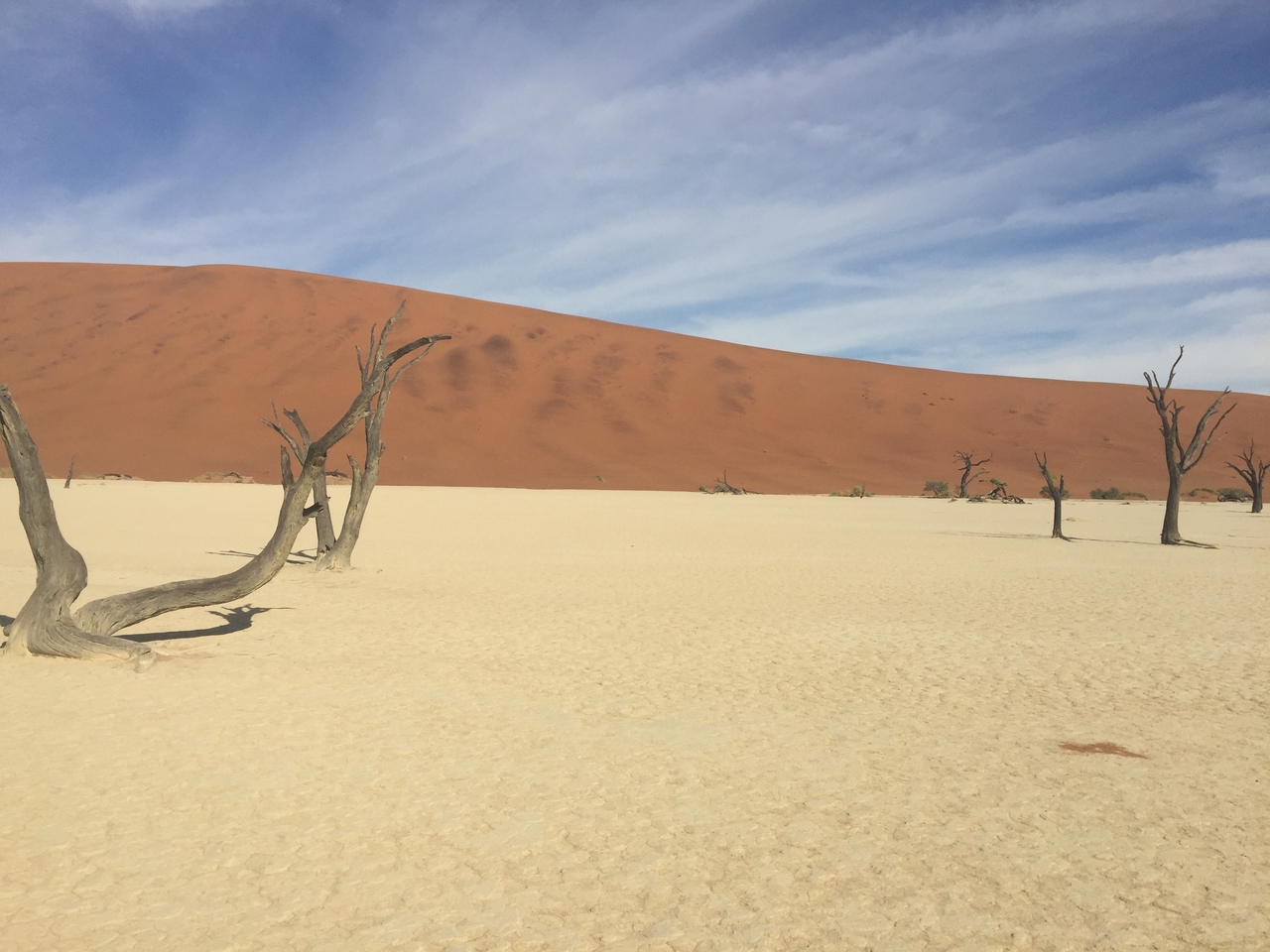 [16106] 2016_06_25_09_58_48_Africa_iPhone_6_Plus_IMG_3682_00293.jpg