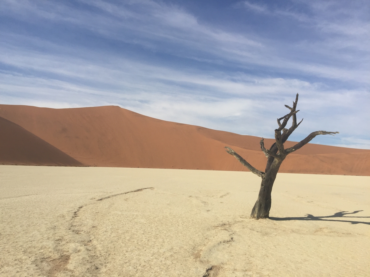 [16116] 2016_06_25_09_59_19_Africa_iPhone_6_Plus_IMG_3684_00295.jpg