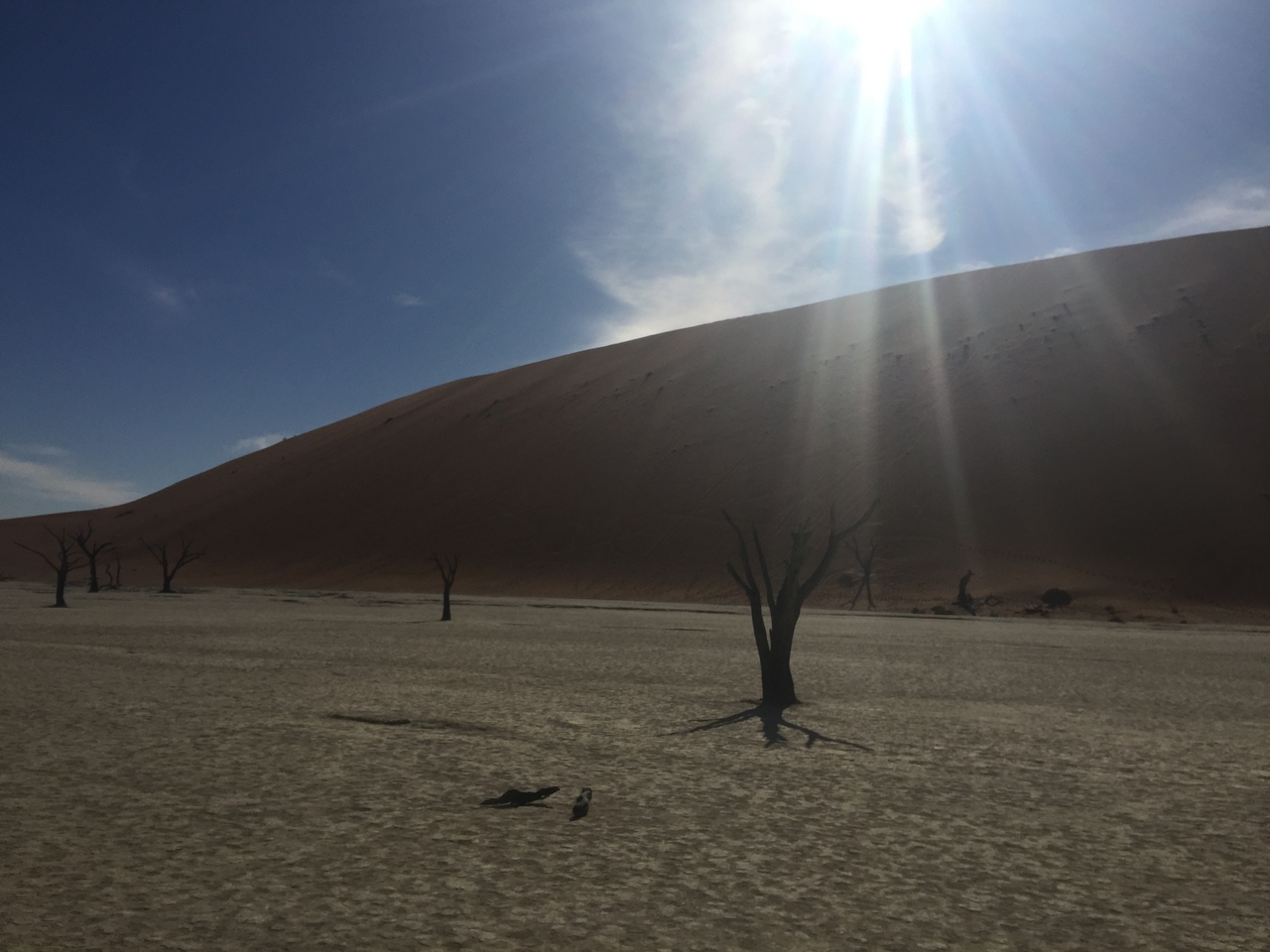 [16120] 2016_06_25_09_59_39_Africa_iPhone_6_Plus_IMG_3686_00297.jpg