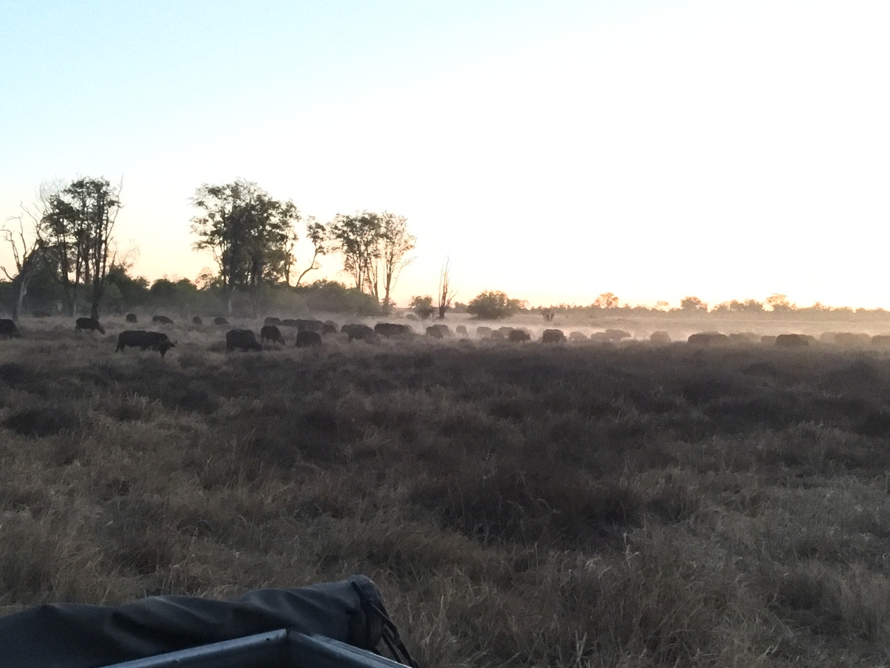 [20450] 2016_06_28_18_20_20_Africa_iPhone_6_Plus_IMG_3845_06979.jpg