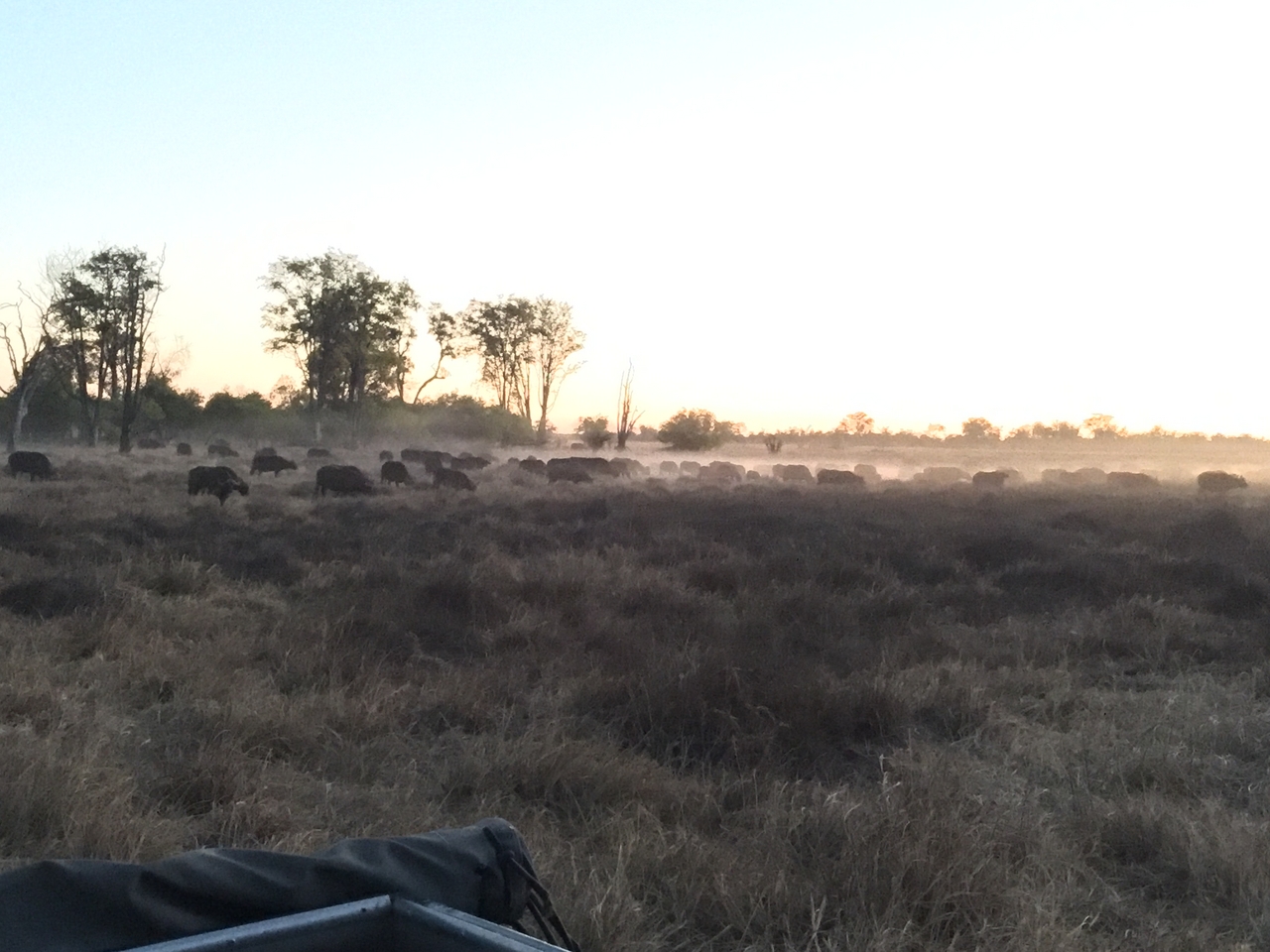 [20451] 2016_06_28_18_20_30_Africa_iPhone_6_Plus_IMG_3846_00396.jpg