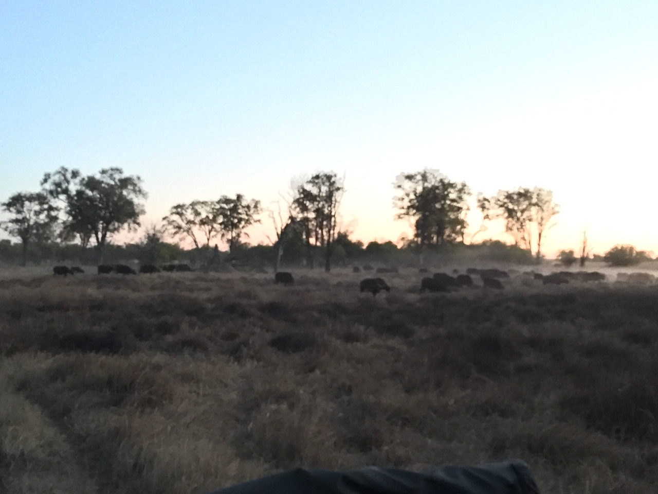 [20454] 2016_06_28_18_20_36_Africa_iPhone_6_Plus_IMG_3847_06981.jpg