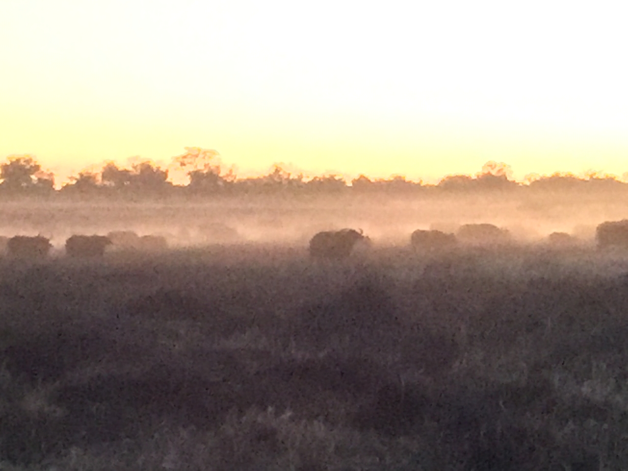 [20458] 2016_06_28_18_21_21_Africa_iPhone_6_Plus_IMG_3848_00398.jpg