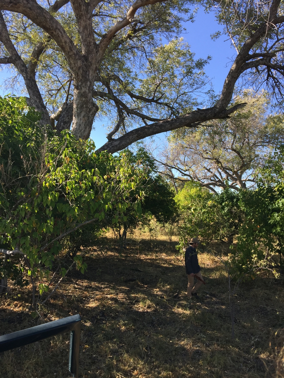 [21445] 2016_06_29_09_41_06_Africa_iPhone_6_Plus_IMG_3862_06993.jpg