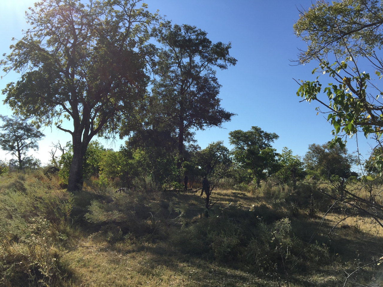 [21446] 2016_06_29_09_46_46_Africa_iPhone_6_Plus_IMG_3863_00410.jpg