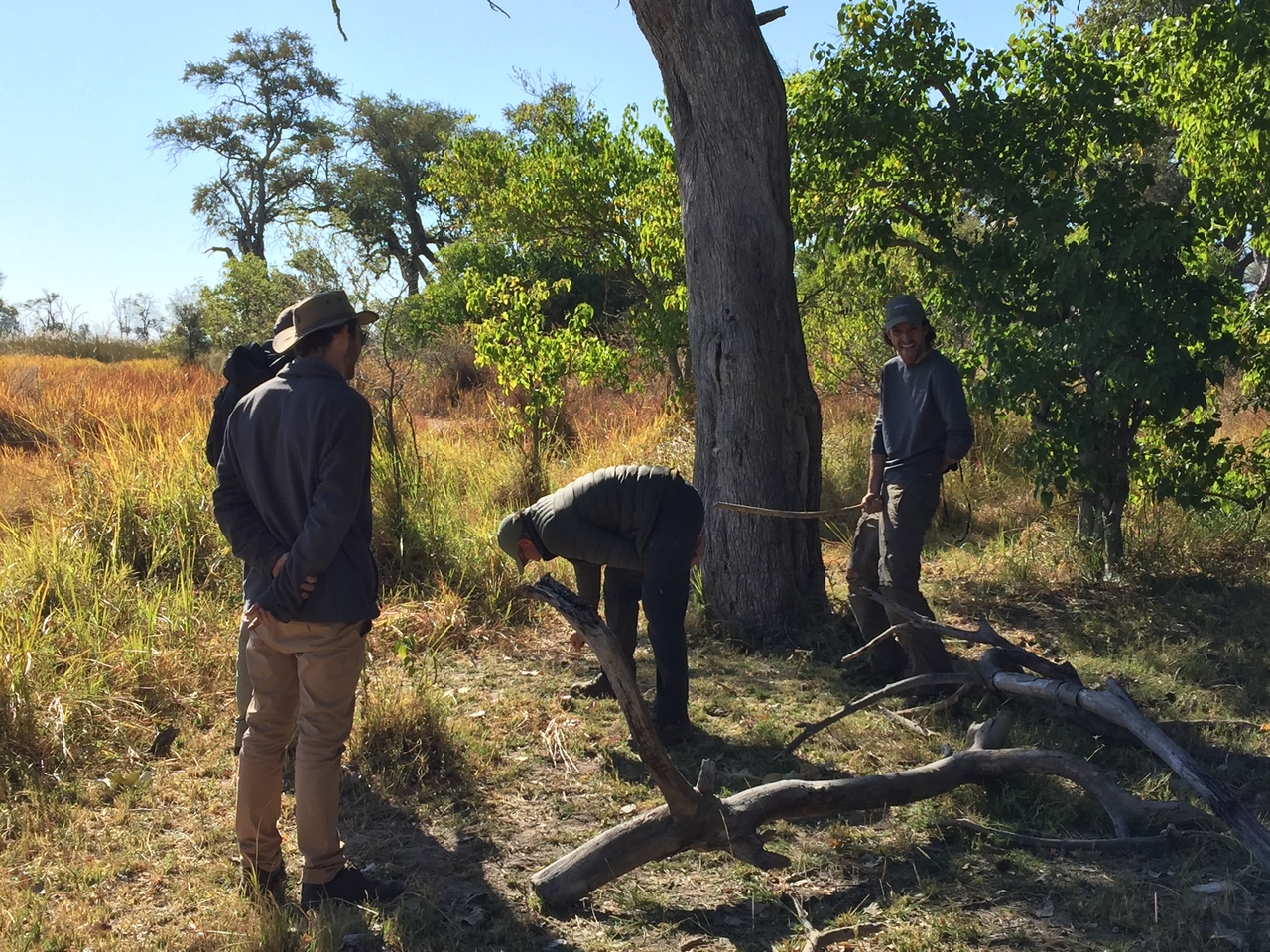 [21454] 2016_06_29_09_56_04_Africa_iPhone_6_Plus_IMG_3867_00414.jpg