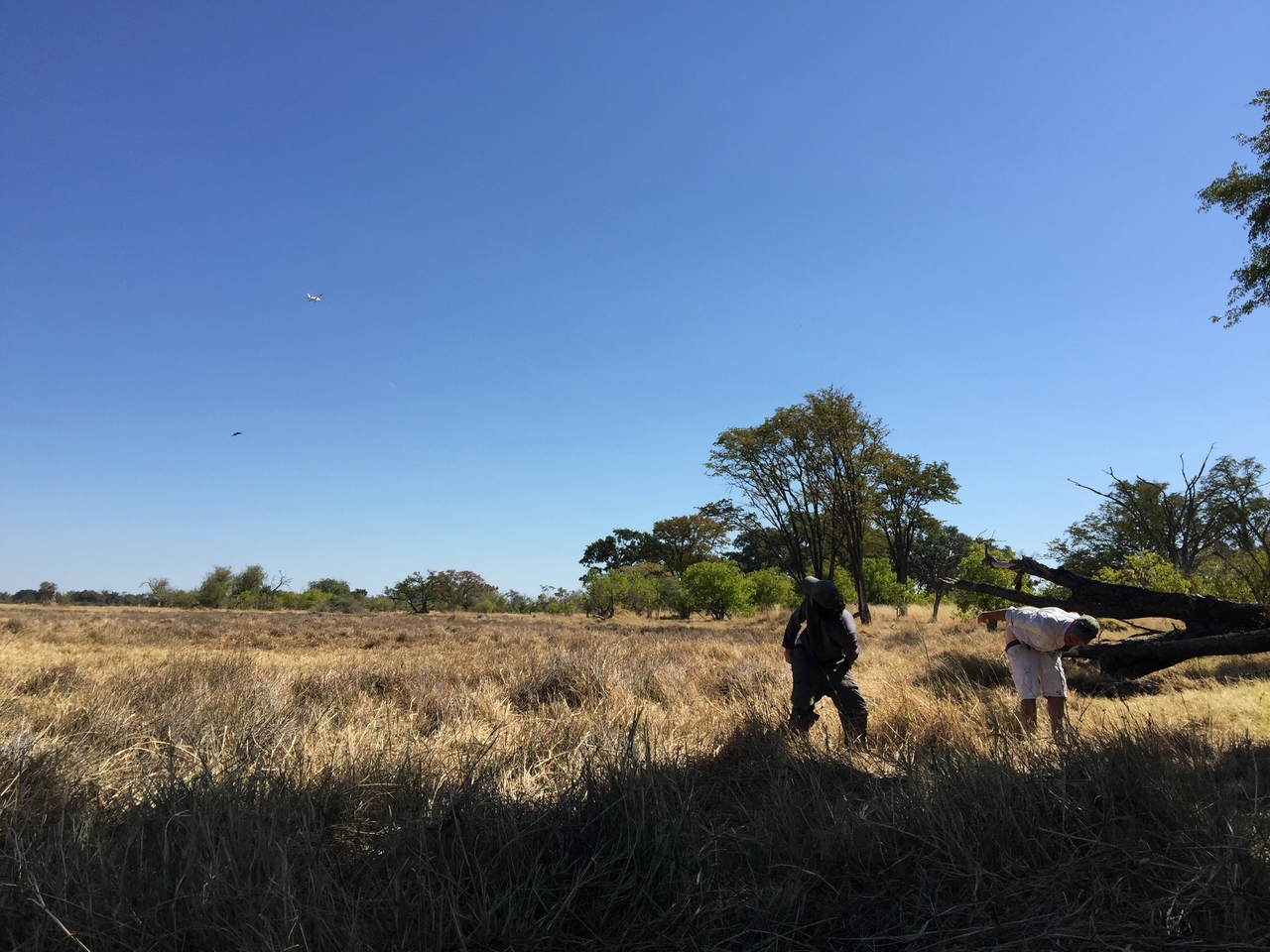 [22183] 2016_06_29_12_47_03_Africa_iPhone_6_Plus_IMG_3877_07006.jpg