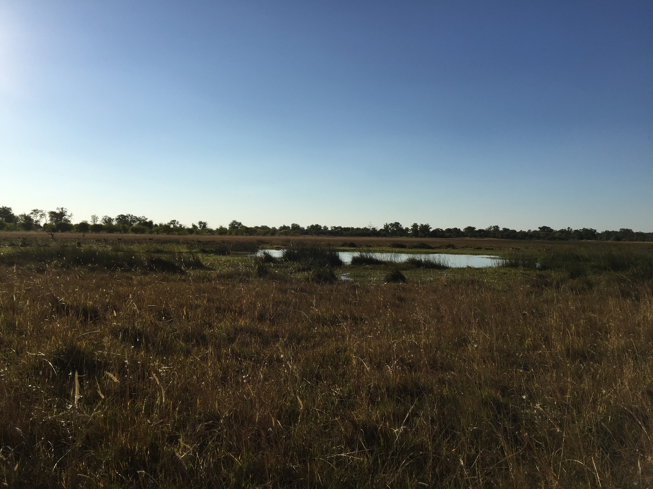 [22204] 2016_06_29_16_41_33_Africa_iPhone_6_Plus_IMG_3884_00427.jpg