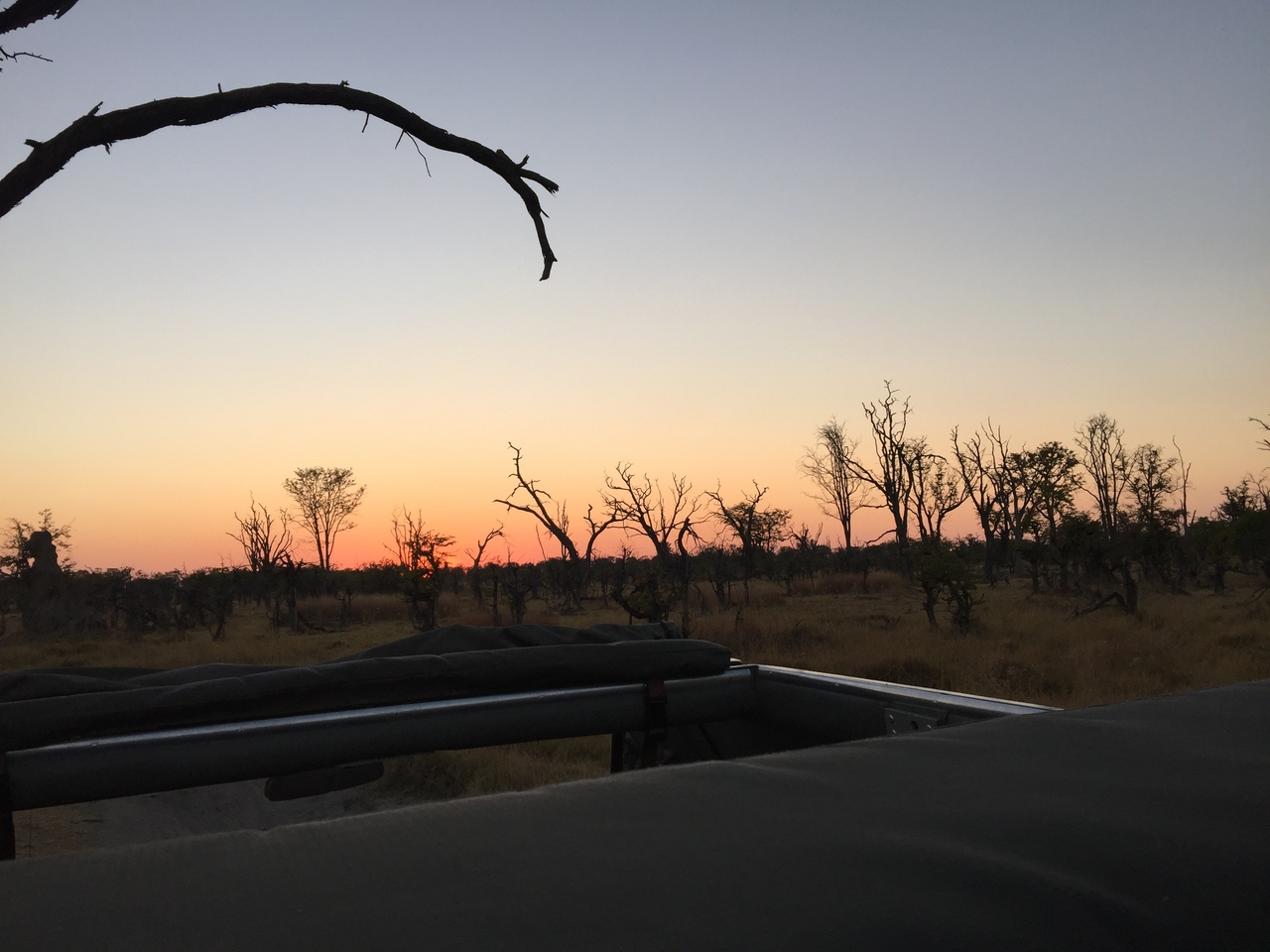 [24610] 2016_06_30_07_02_45_Africa_iPhone_6_Plus_IMG_3906_00434.jpg