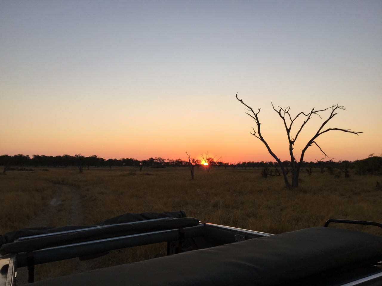 [24615] 2016_06_30_07_03_36_Africa_iPhone_6_Plus_IMG_3908_07020.jpg