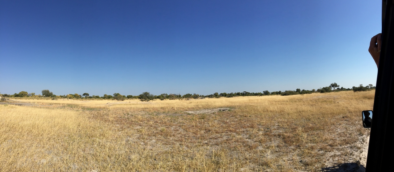 [24802] 2016_06_30_09_45_05_Africa_iPhone_6_Plus_IMG_3934_00447.jpg