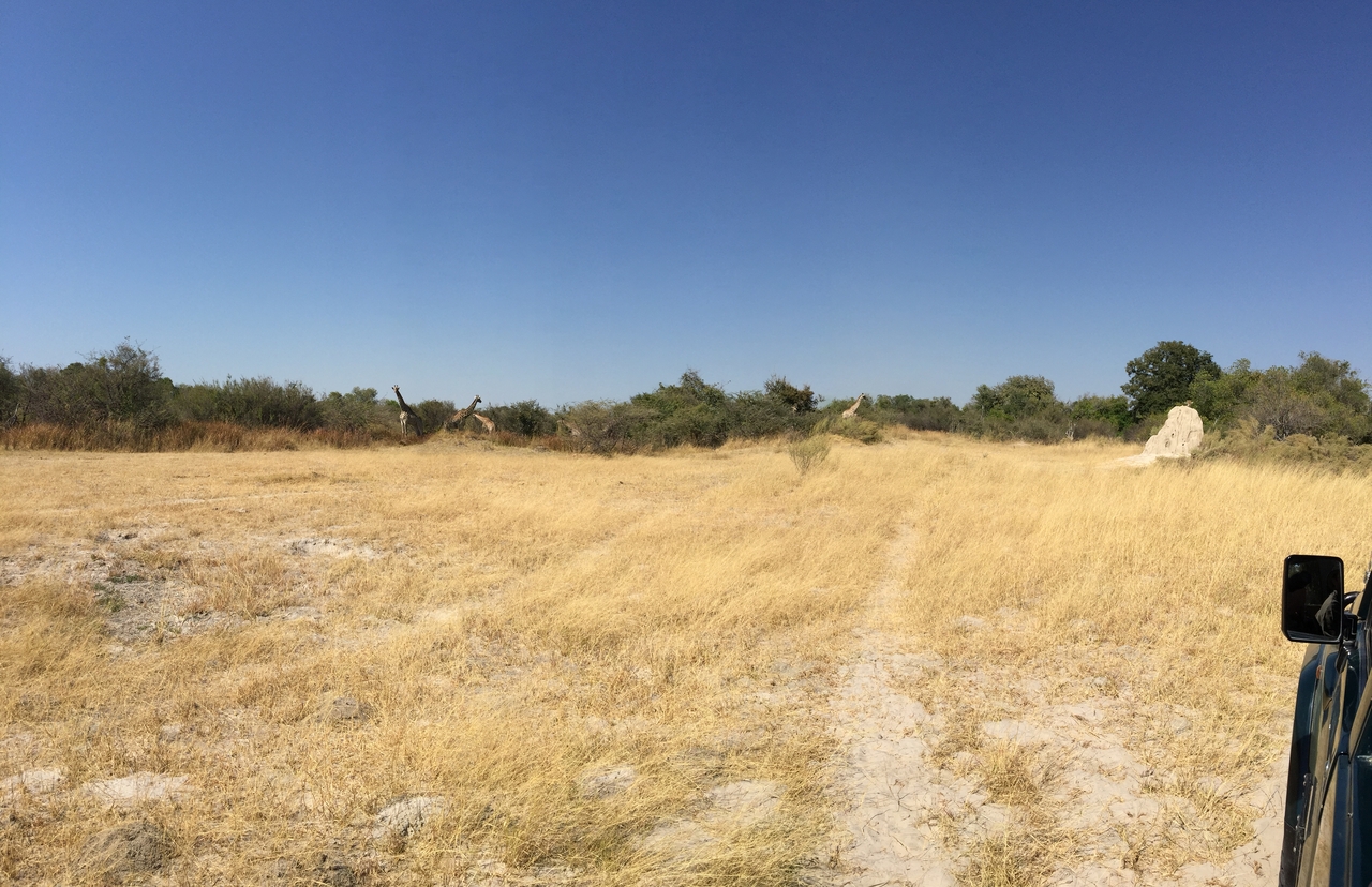 [25202] 2016_06_30_11_34_33_Africa_iPhone_6_Plus_IMG_3951_07040.jpg