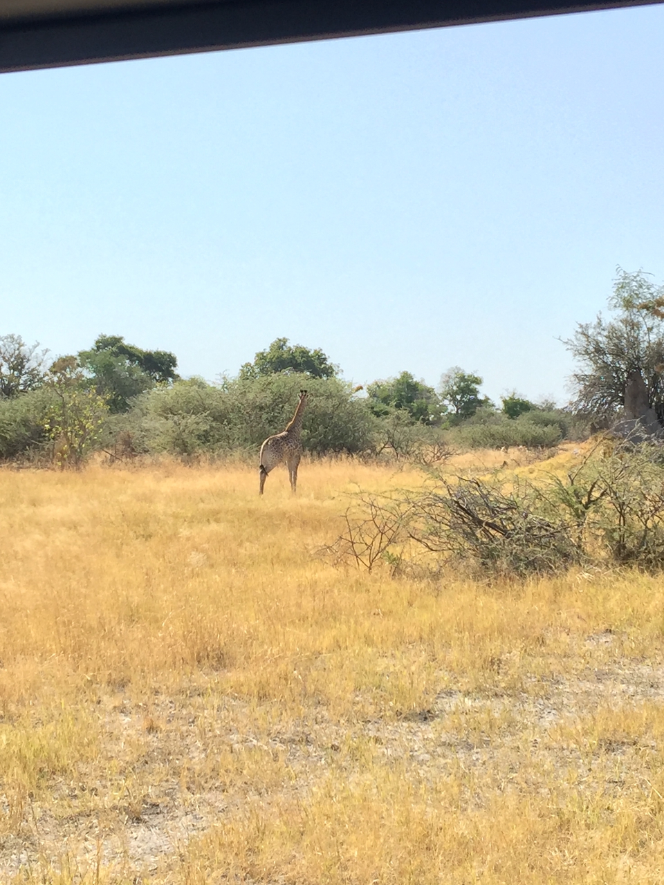 [25203] 2016_06_30_11_52_18_Africa_iPhone_6_Plus_IMG_3958_00457.jpg