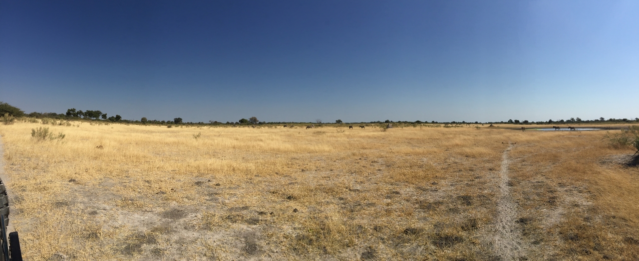 [25271] 2016_06_30_12_05_05_Africa_iPhone_6_Plus_IMG_3961_07043.jpg