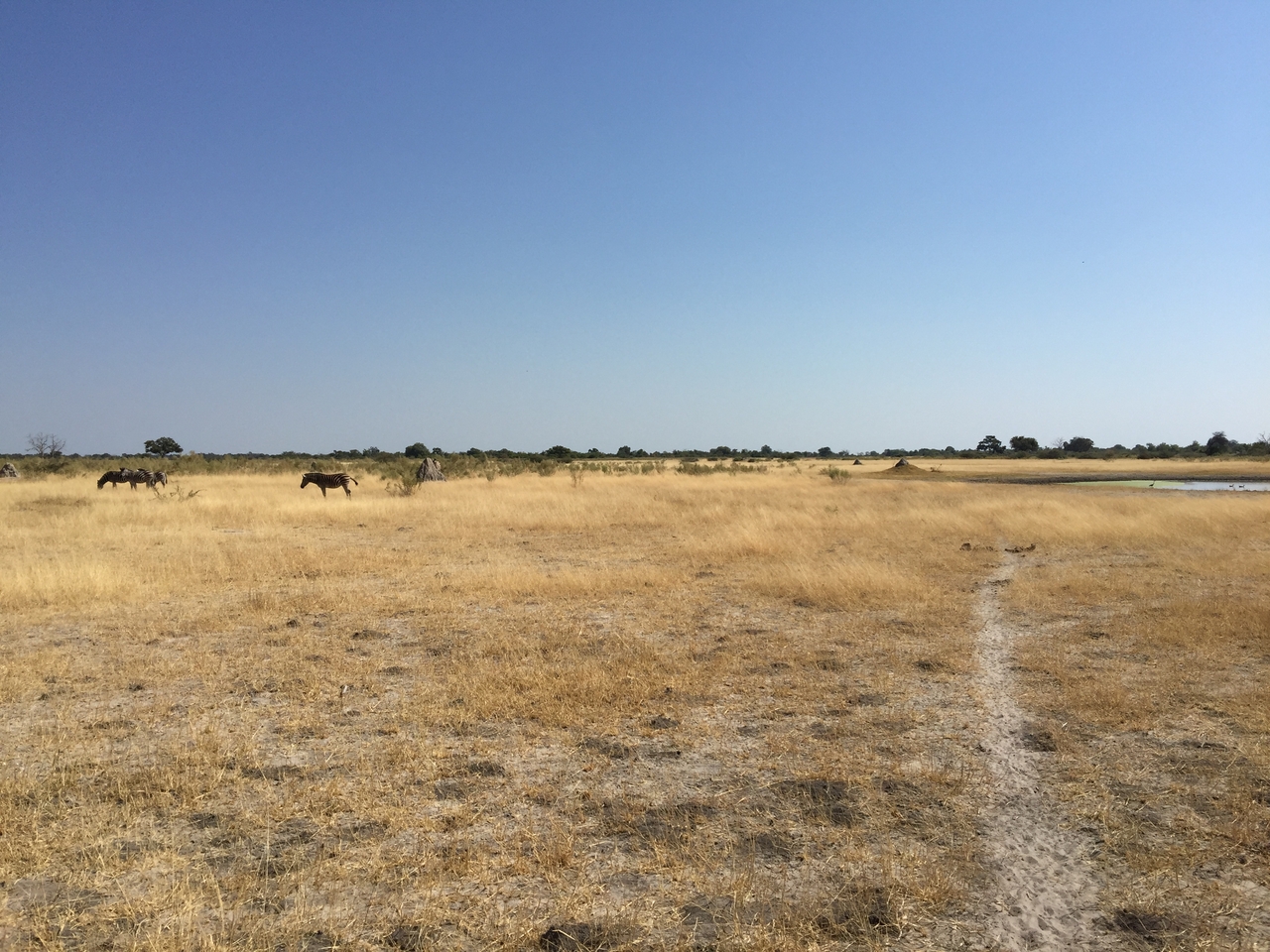 [25275] 2016_06_30_12_06_58_Africa_iPhone_6_Plus_IMG_3963_07045.jpg