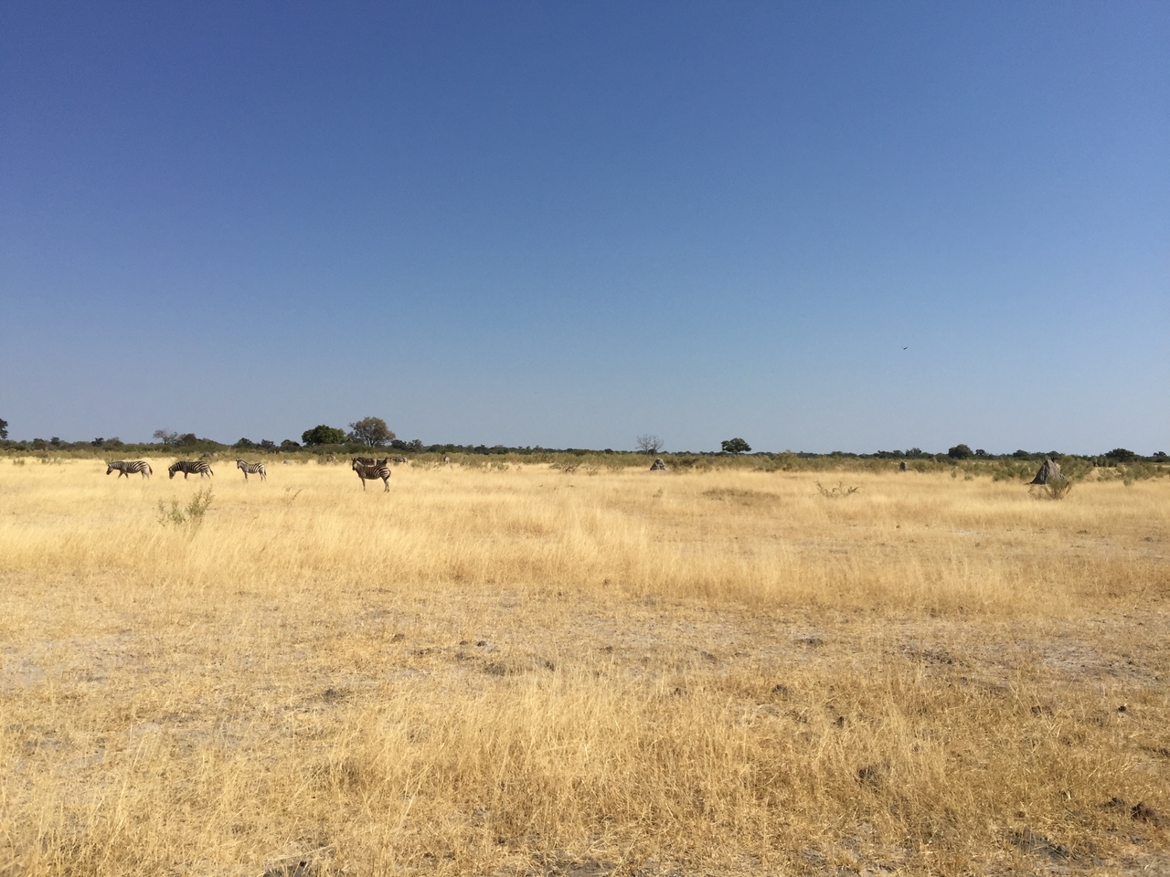 [25281] 2016_06_30_12_08_47_Africa_iPhone_6_Plus_IMG_3966_07048.jpg