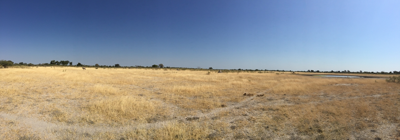 [25283] 2016_06_30_12_11_46_Africa_iPhone_6_Plus_IMG_3967_07049.jpg