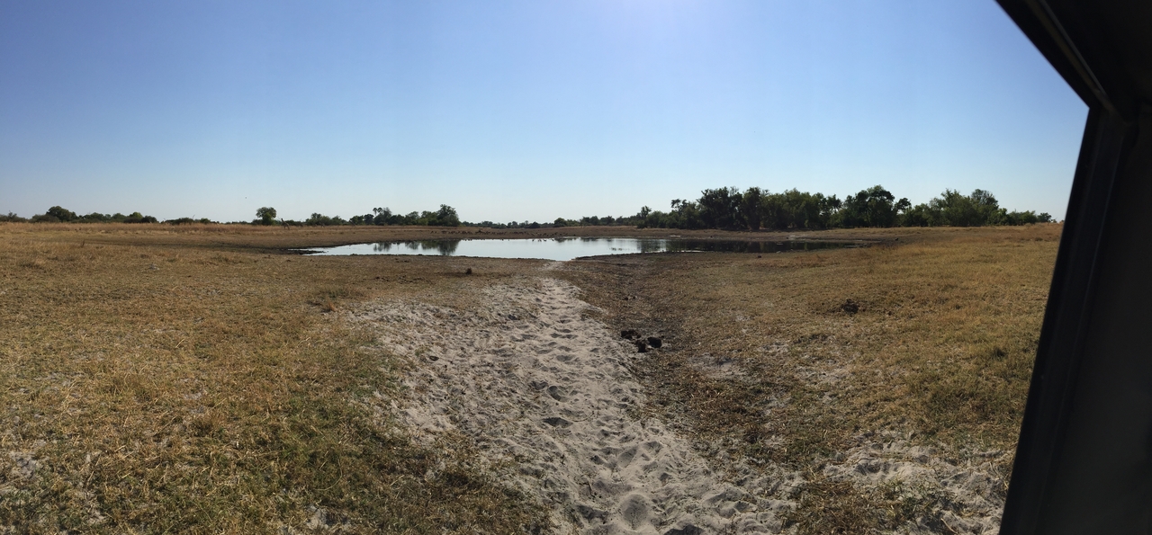 [25313] 2016_06_30_14_55_13_Africa_iPhone_6_Plus_IMG_3977_07055.jpg