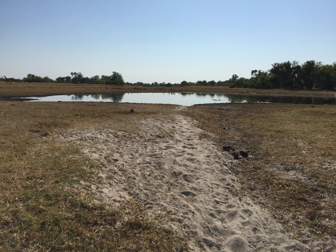 [25317] 2016_06_30_14_55_59_Africa_iPhone_6_Plus_IMG_3979_07057.jpg