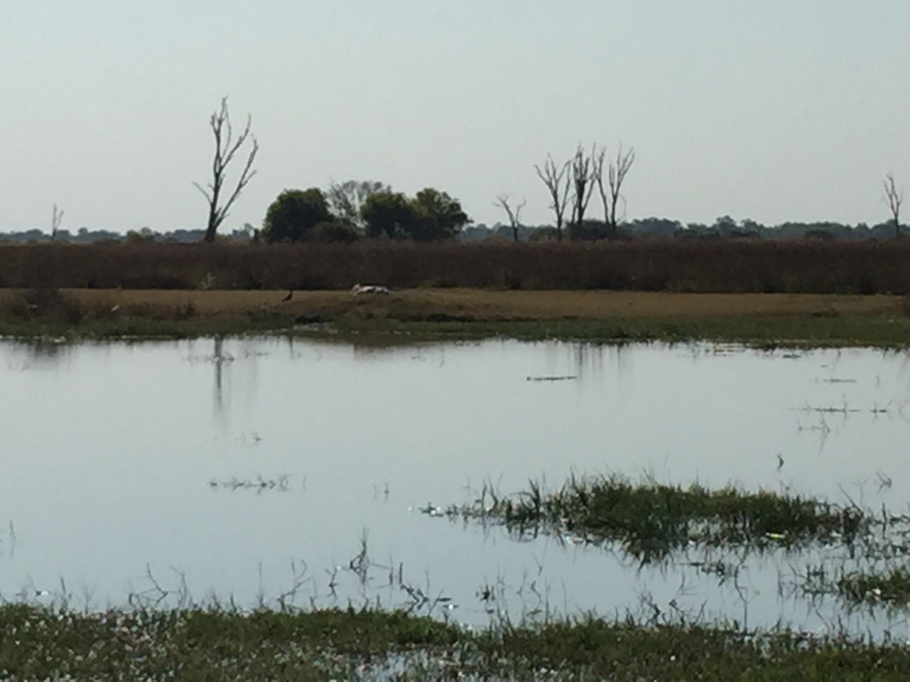 [25788] 2016_06_30_15_10_11_Africa_iPhone_6_Plus_IMG_3985_00478.jpg