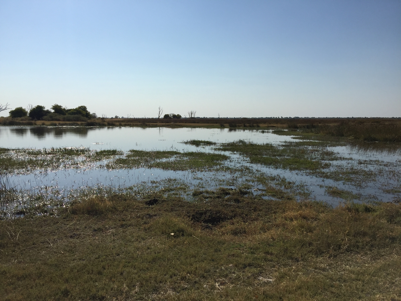 [25790] 2016_06_30_15_10_18_Africa_iPhone_6_Plus_IMG_3986_00479.jpg