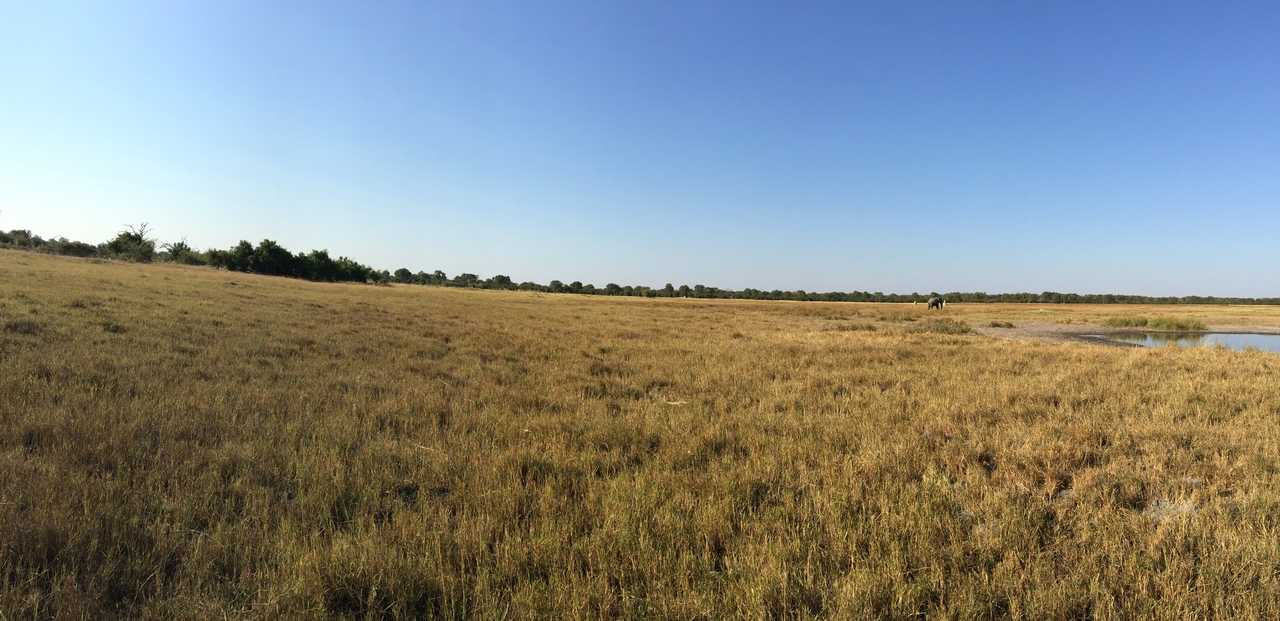 [25809] 2016_06_30_15_56_31_Africa_iPhone_6_Plus_IMG_3992_07066.jpg