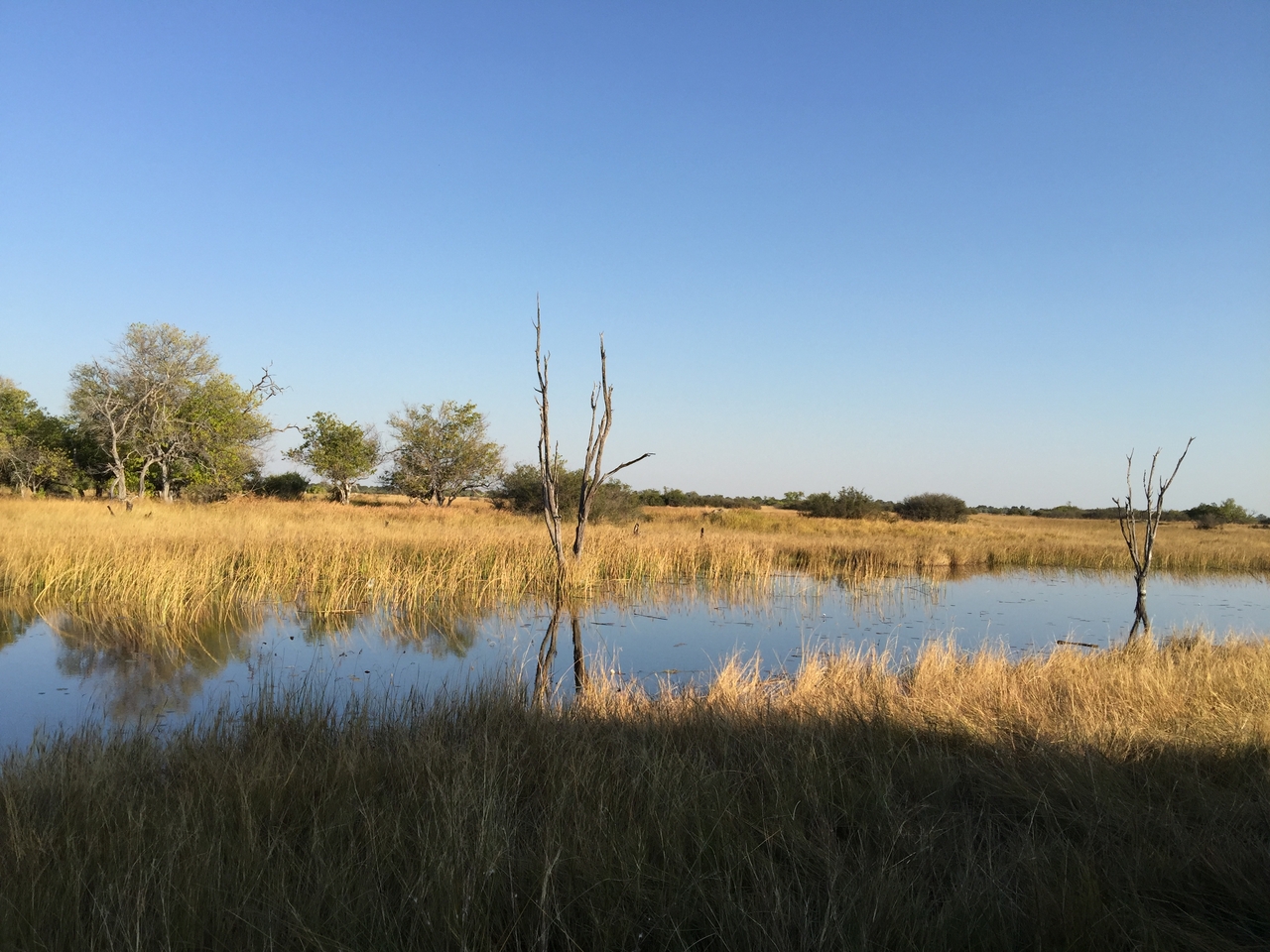 [26615] 2016_06_30_16_32_03_Africa_iPhone_6_Plus_IMG_4002_07073.jpg