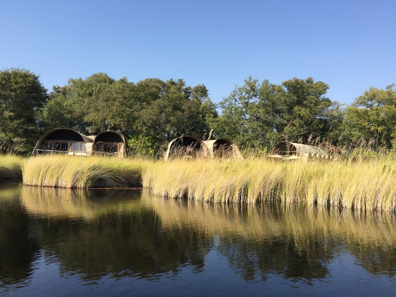 [26933] 2016_07_01_09_48_55_Africa_iPhone_6_Plus_IMG_4016_00494.jpg