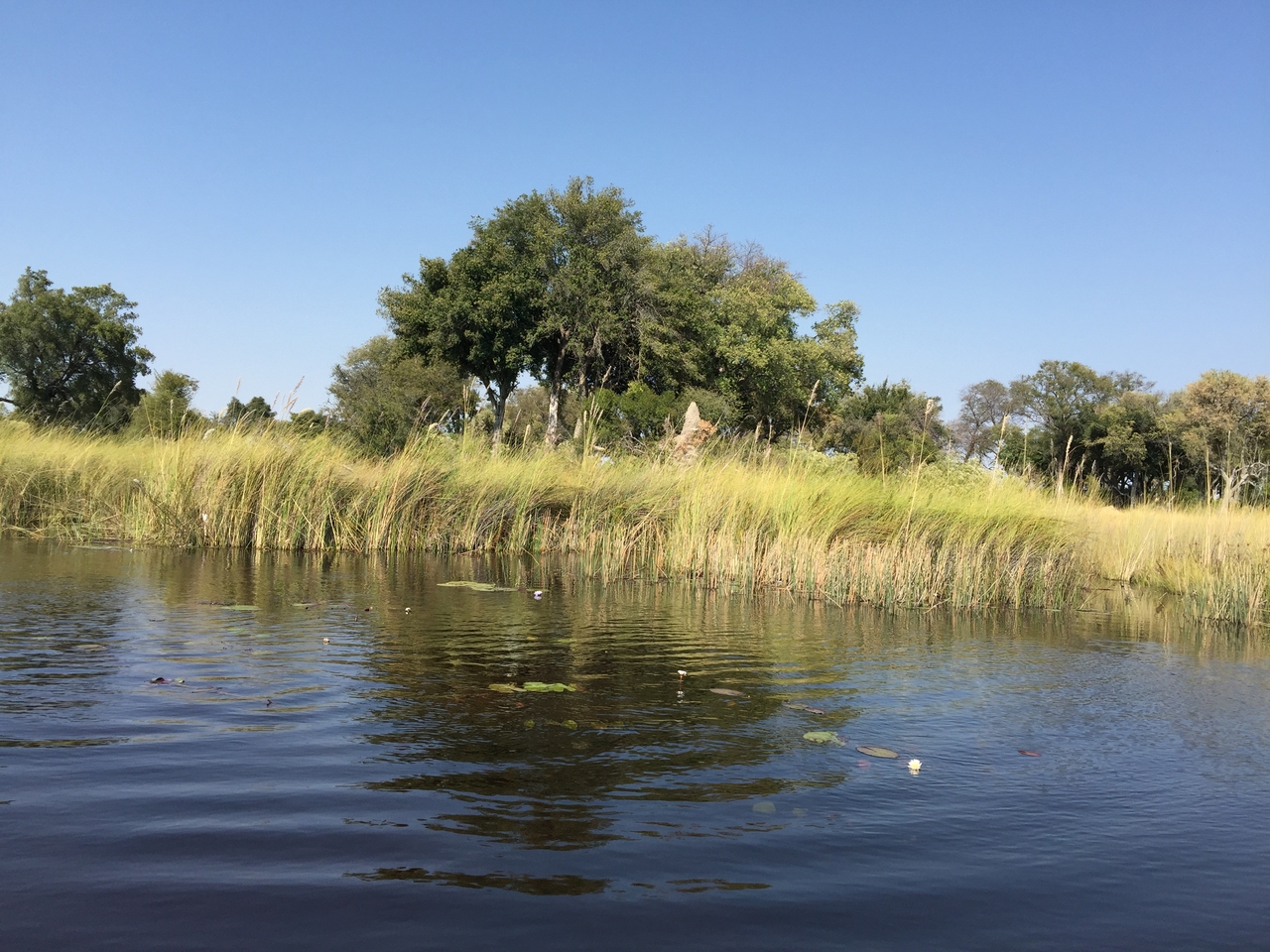 [26976] 2016_07_01_11_00_29_Africa_iPhone_6_Plus_IMG_4044_07088.jpg