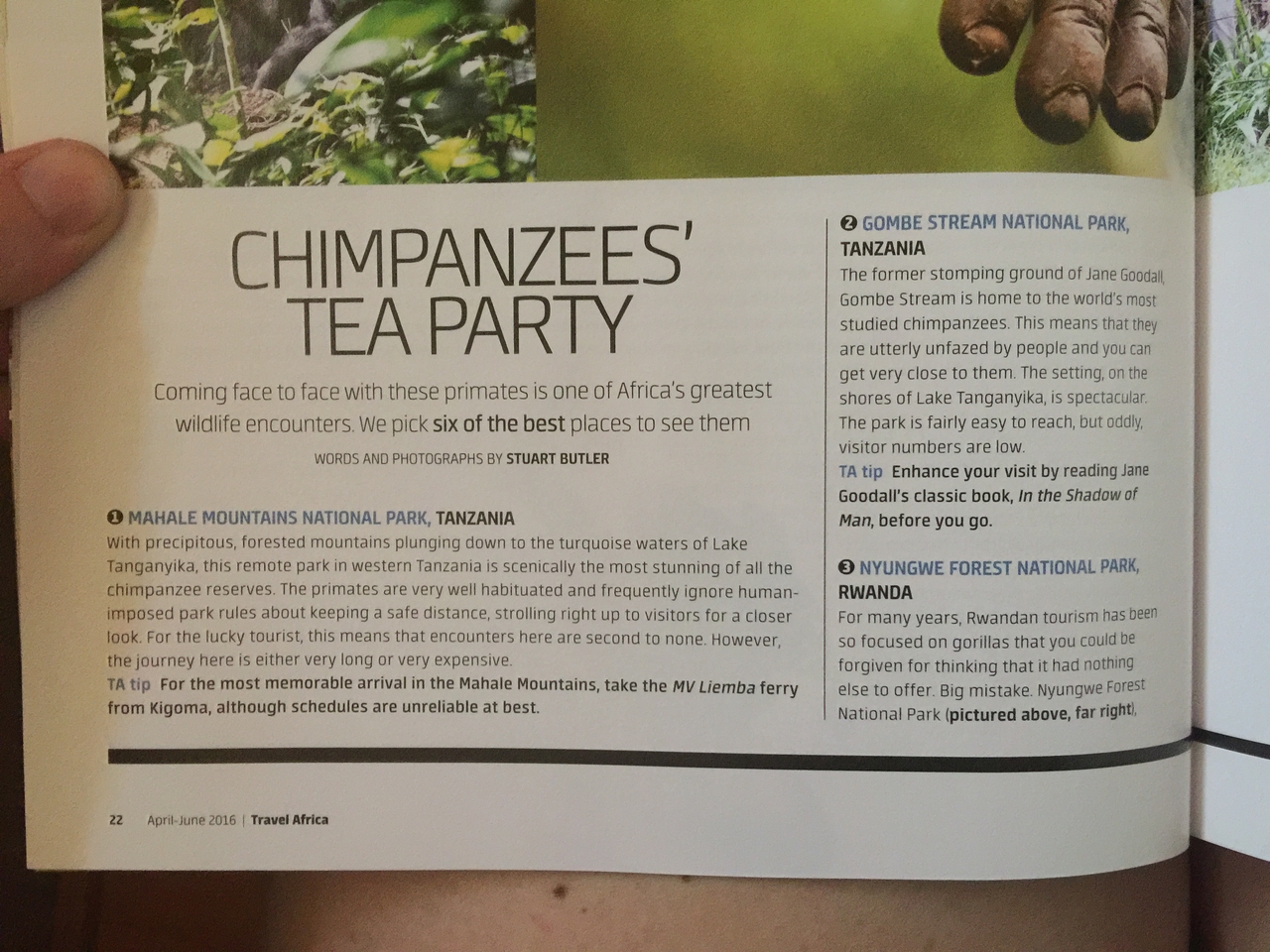 [27103] 2016_07_01_14_35_45_Africa_iPhone_6_Plus_IMG_4097_00046.jpg