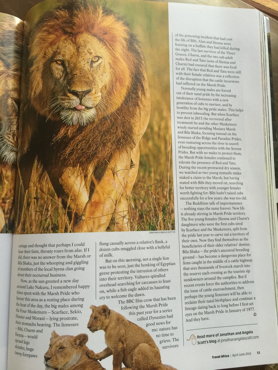 [27115] 2016_07_01_14_45_39_Africa_iPhone_6_Plus_IMG_4101_00050.jpg