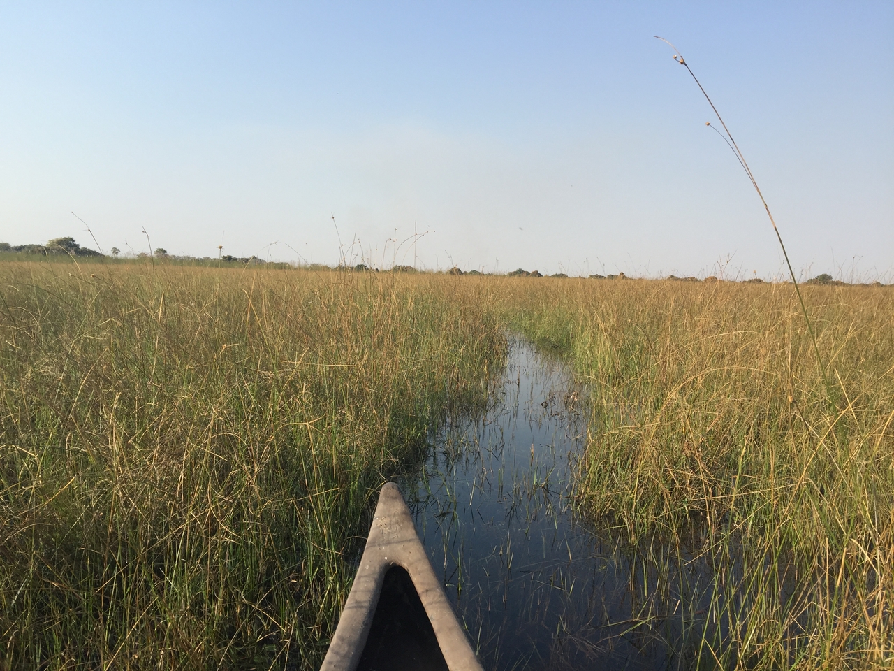 [27229] 2016_07_01_16_07_07_Africa_iPhone_6_Plus_IMG_4128_07141.jpg