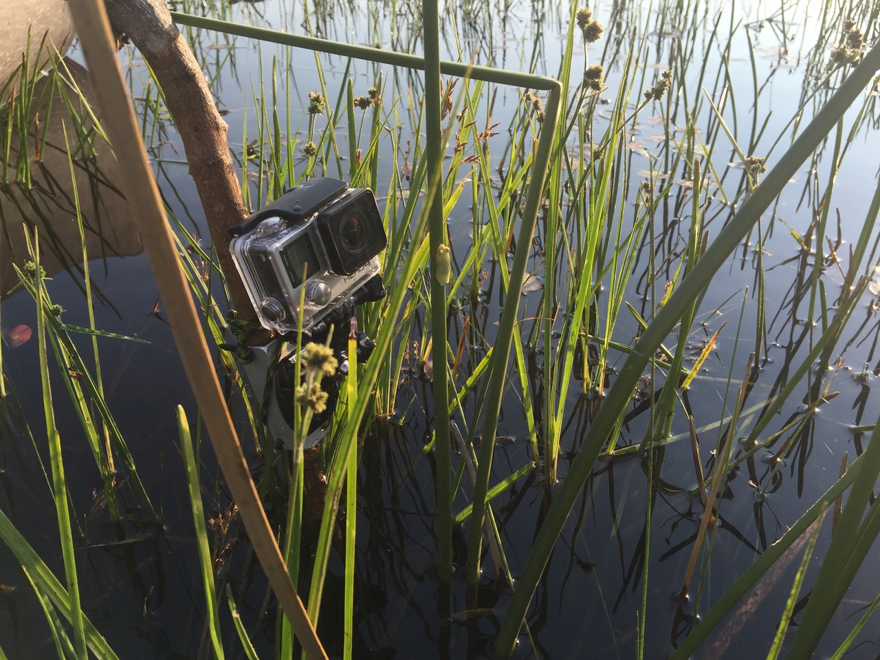 [27268] 2016_07_01_16_36_13_Africa_iPhone_6_Plus_IMG_4137_07146.jpg