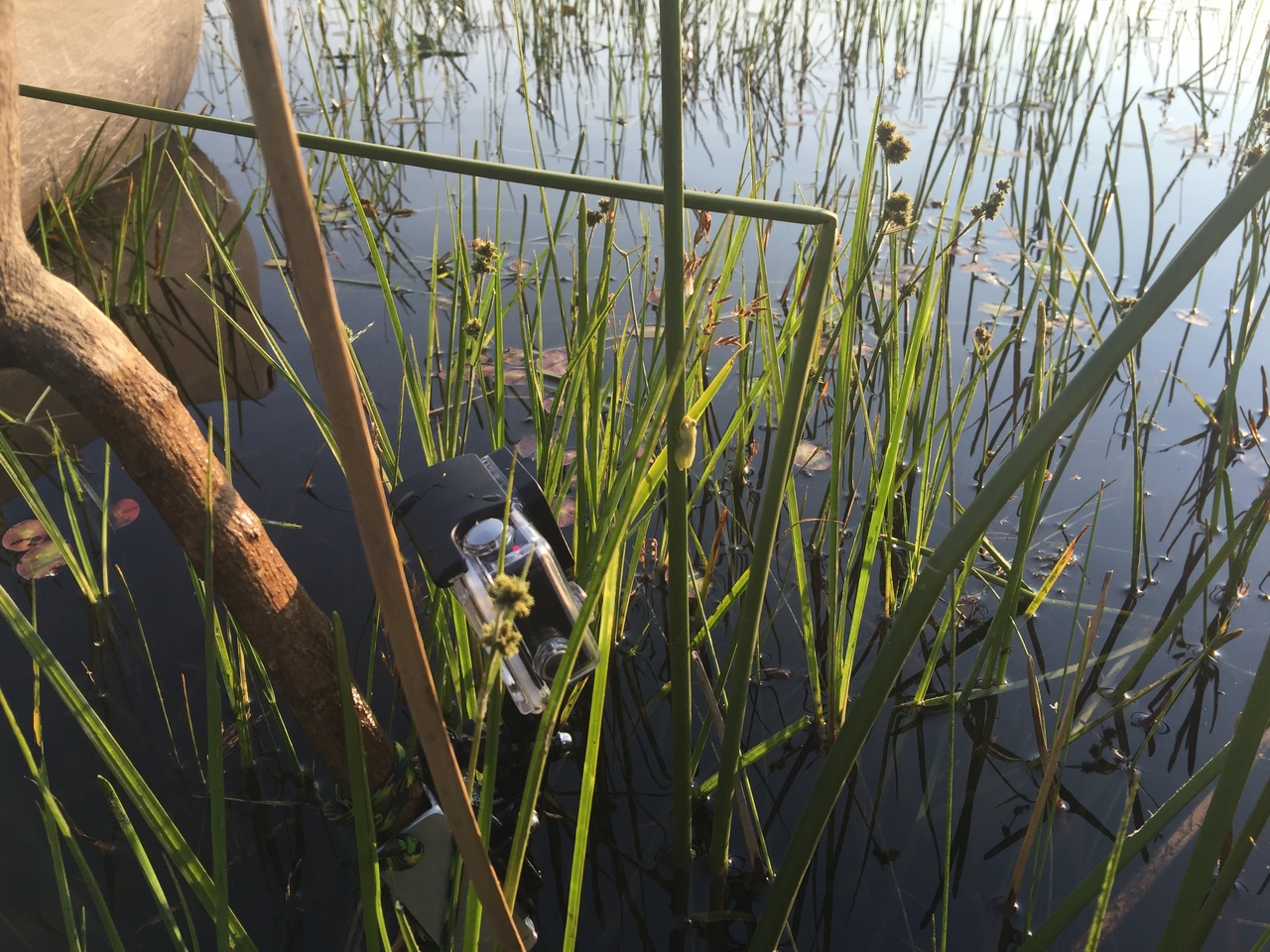 [27269] 2016_07_01_16_36_16_Africa_iPhone_6_Plus_IMG_4138_00075.jpg